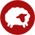 Flocknote